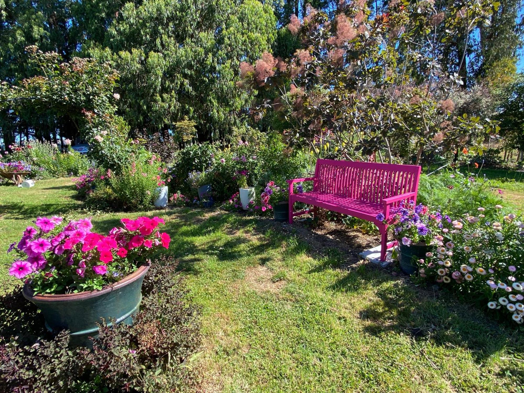 Korimako'S Nest Garden Studio Carterton Exterior photo